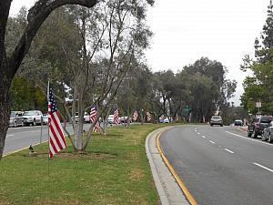 Flags on the Median