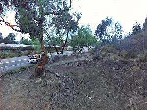 Homeless Camp Clearing