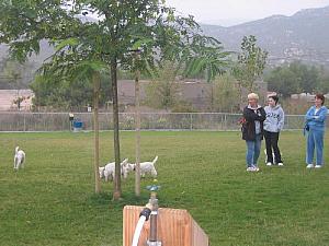 Dog Park